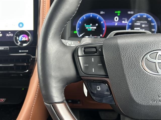 Toyota VELLFIRE 2024 8030376-9