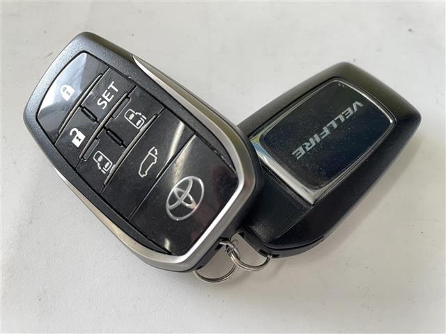 Toyota VELLFIRE 2019 8030750-13