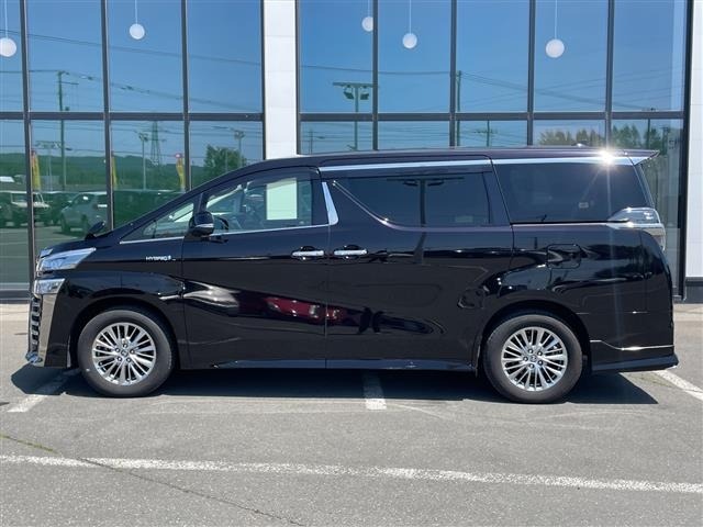 Toyota VELLFIRE 2019 8030847-17