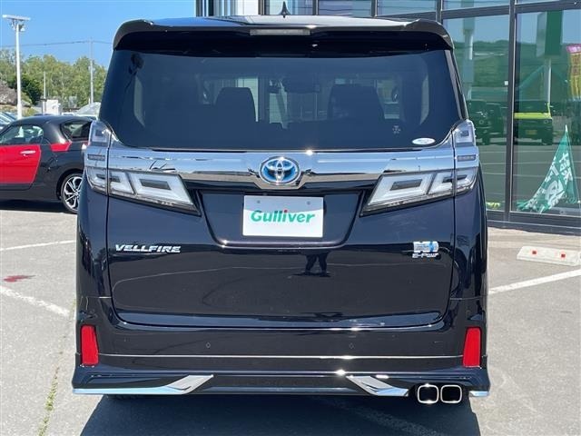 Toyota VELLFIRE 2019 8030847-18