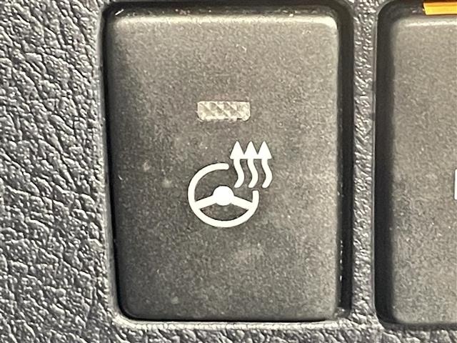 Toyota VELLFIRE 2019 8030942-19