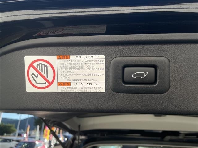 Toyota VELLFIRE 2019 8030971-7