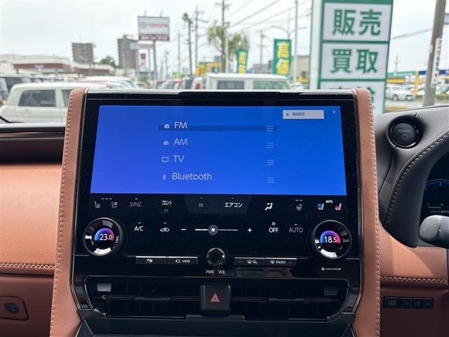 Toyota VELLFIRE 2024 8031006-19