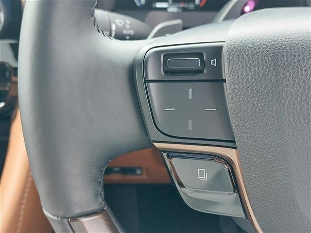 Toyota VELLFIRE 2025 8031009-4