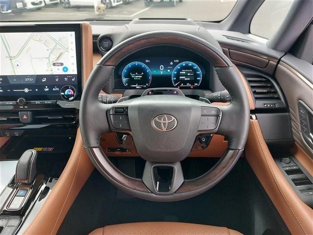 Toyota VELLFIRE 2025 8031009-7