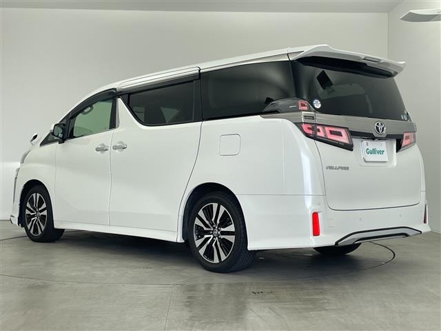 Toyota VELLFIRE 2019 8031024-13