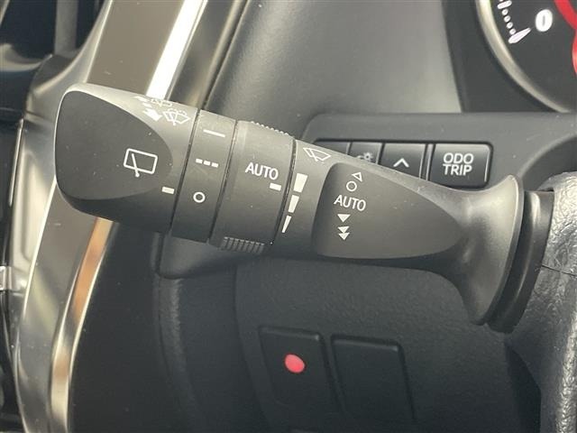 Toyota VELLFIRE 2019 8031024-7