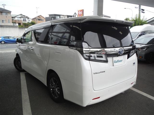 Toyota VELLFIRE 2019 8031026-13