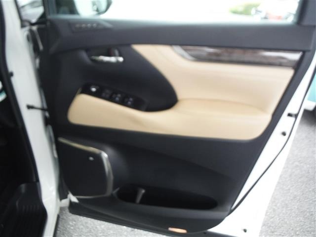 Toyota VELLFIRE 2019 8031026-19