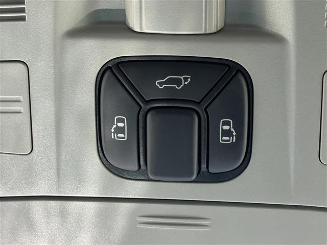Toyota VELLFIRE 2009 8031027-19