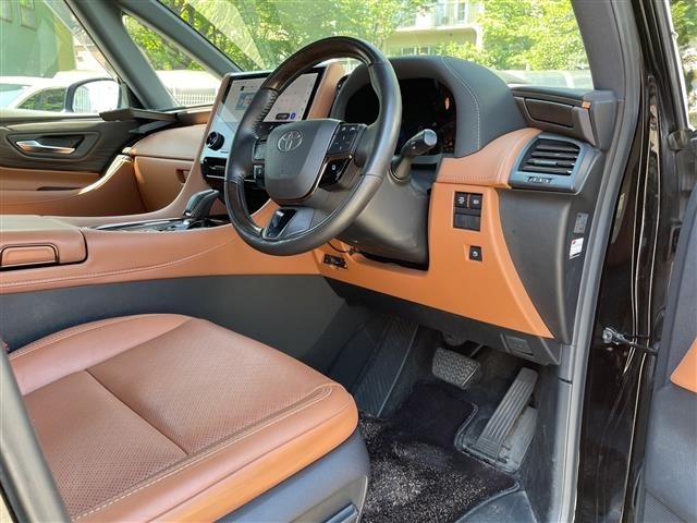 Toyota VELLFIRE 2023 8031044-10