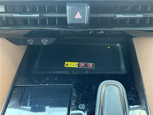 Toyota VELLFIRE 2023 8031045-22