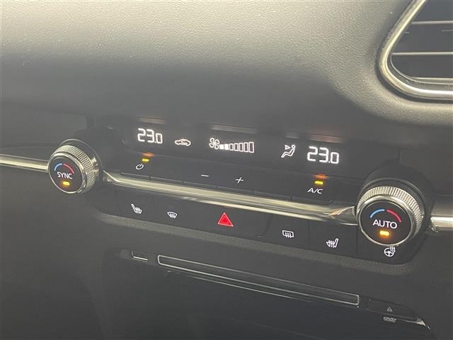 Mazda CX-30 2020 8040230-22