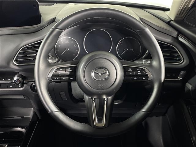 Mazda CX-30 2023 8040234-6