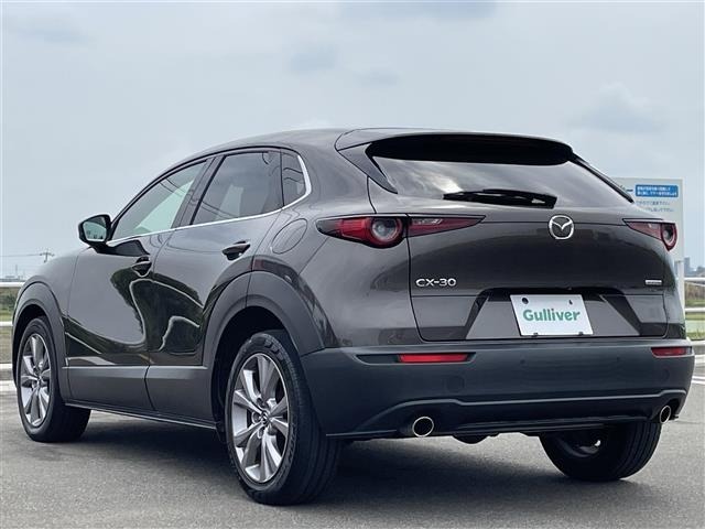 Mazda CX-30 2021 8040235-14