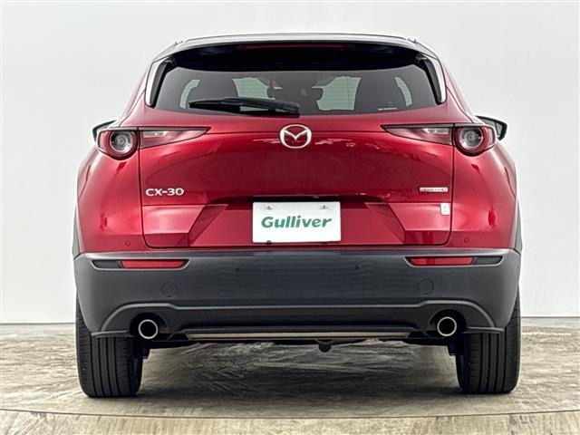 Mazda CX-30 2020 8040245-6