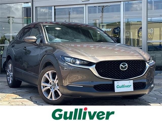 Mazda CX-30 2021 8040269-0