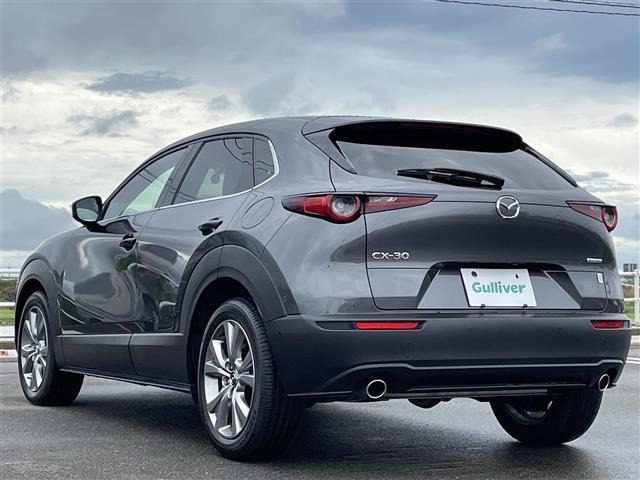 Mazda CX-30 2020 8040272-14
