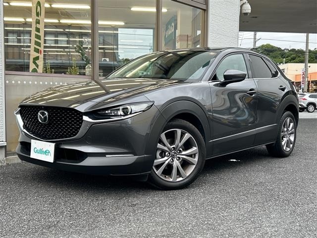 Mazda CX-30 2022 8040283-11