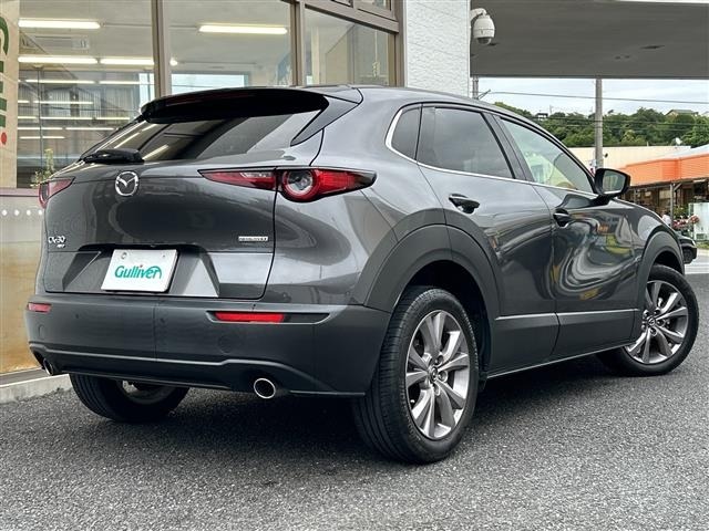 Mazda CX-30 2022 8040283-22