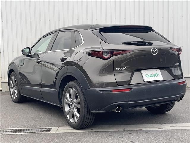 Mazda CX-30 2021 8040284-13