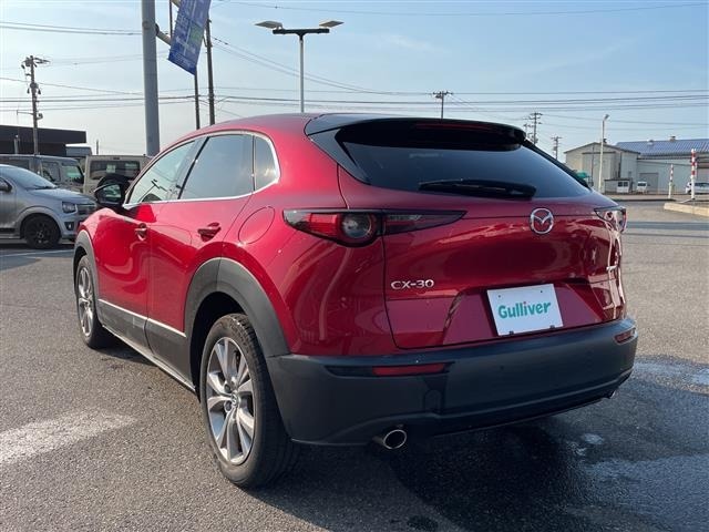 Mazda CX-30 2021 8040294-13