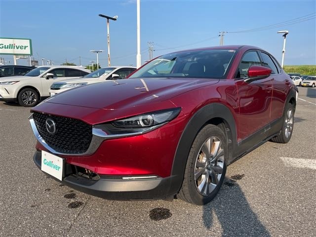 Mazda CX-30 2021 8040294-4