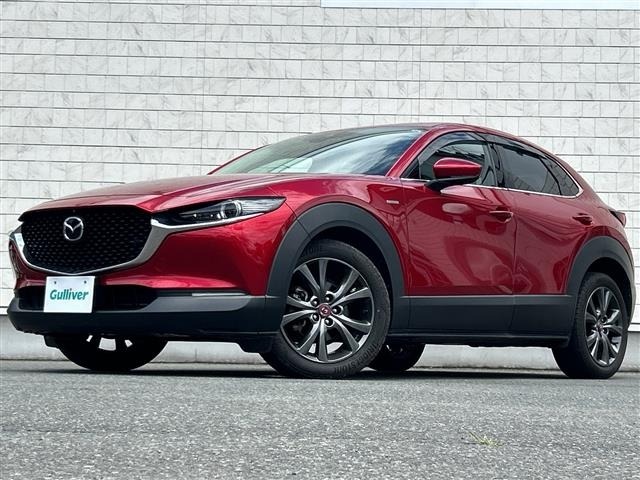 Mazda CX-30 2021 8040295-16