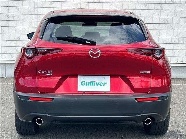 Mazda CX-30 2021 8040295-18