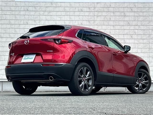 Mazda CX-30 2021 8040295-19