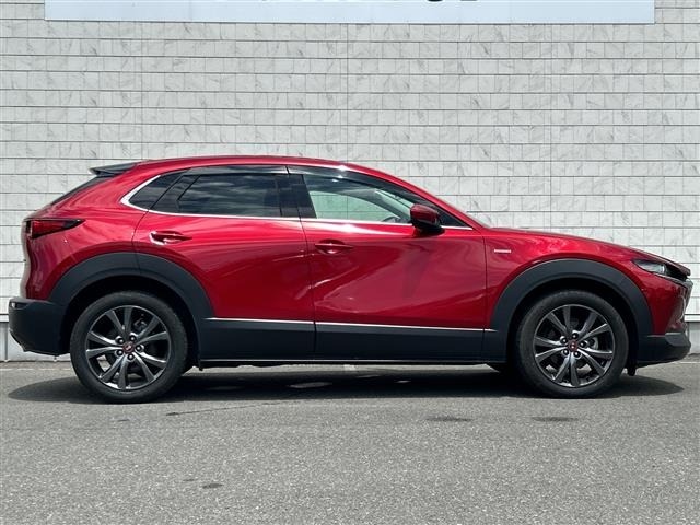 Mazda CX-30 2021 8040295-21