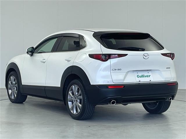 Mazda CX-30 2021 8040304-14