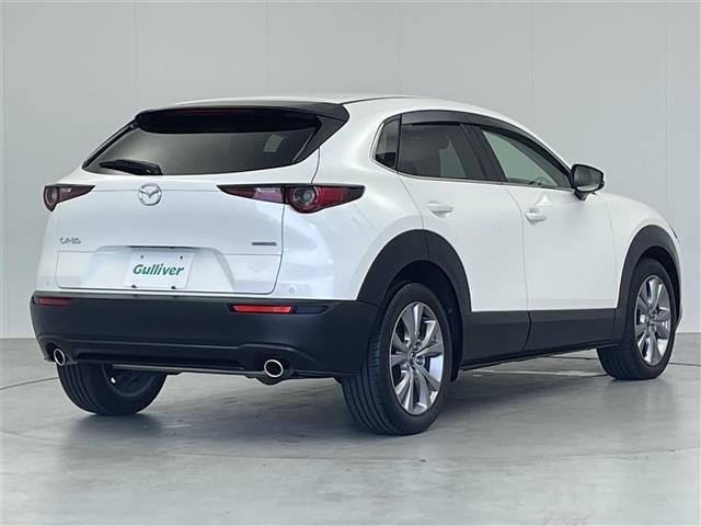 Mazda CX-30 2021 8040304-15