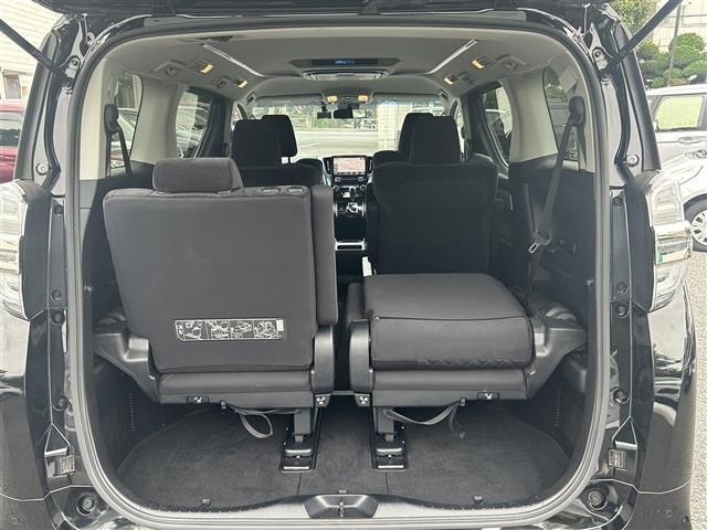 Toyota VELLFIRE 2019 8046973-3