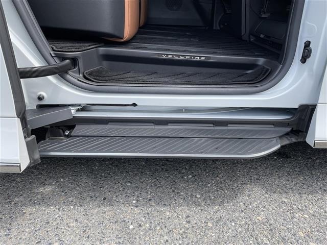 Toyota VELLFIRE 2024 8046974-19