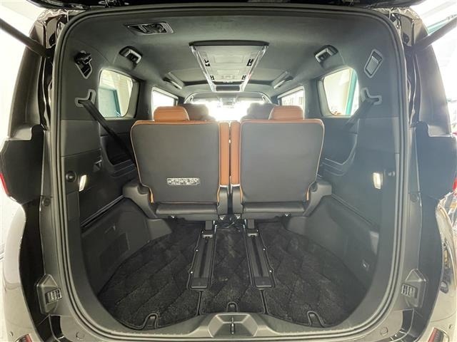 Toyota VELLFIRE 2024 8046983-3