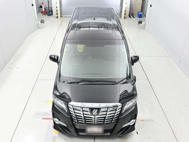 Toyota ALPHARD 2017 8053119-7