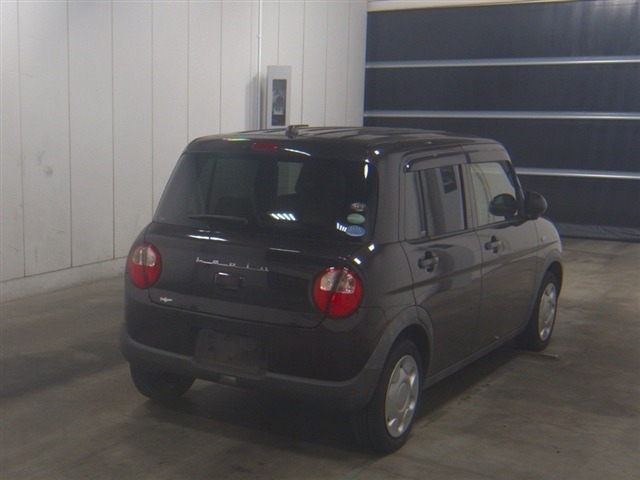 Suzuki LAPIN 2019 8062428-5