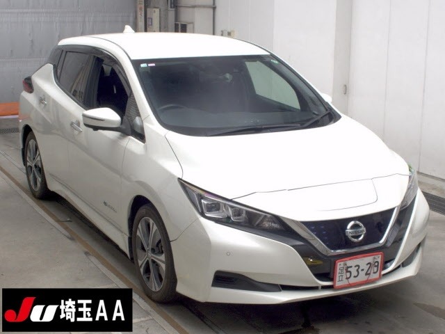 Nissan LEAF 2020 8061983-0