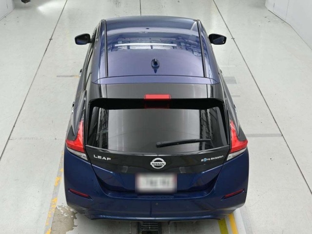 Nissan LEAF 2021 8061989-8