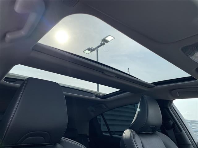 Toyota PRIUS 2025 8060202-17