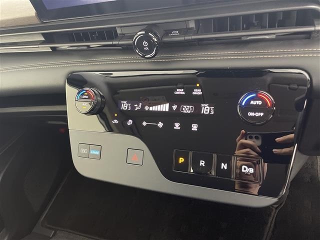 Nissan SERENA 2024 8061840-12