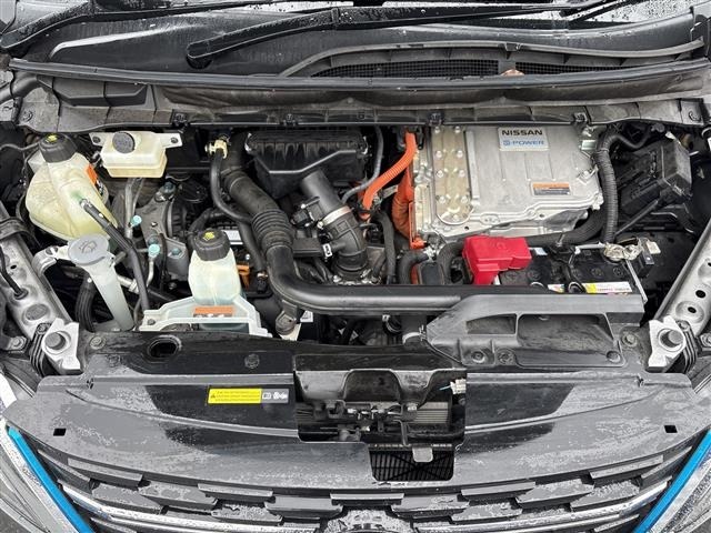 Nissan SERENA 2019 8061948-14
