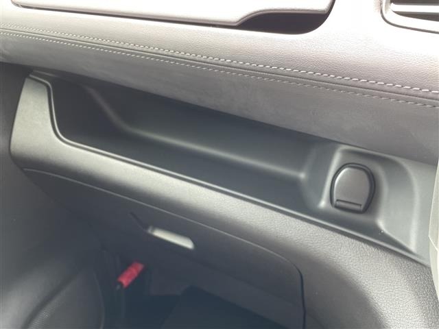 Nissan SERENA 2019 8061952-9