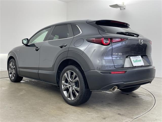 Mazda CX-30 2021 8063659-13