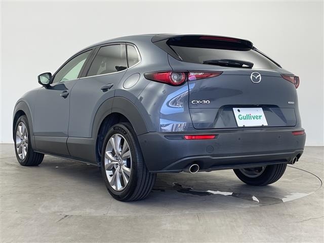 Mazda CX-30 2020 8063660-13