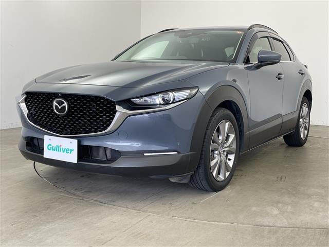 Mazda CX-30 2021 8063661-15