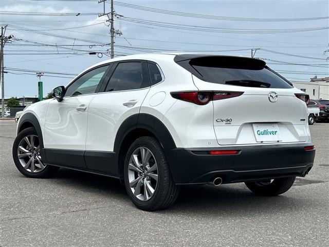 Mazda CX-30 2020 8063667-13