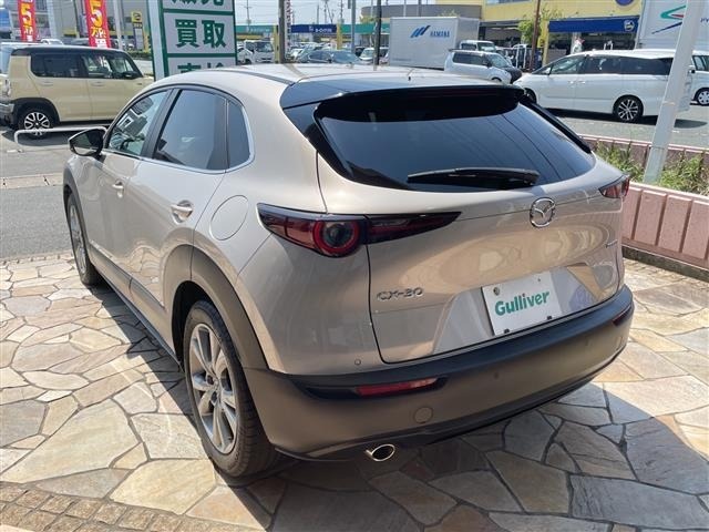 Mazda CX-30 2022 8063675-13