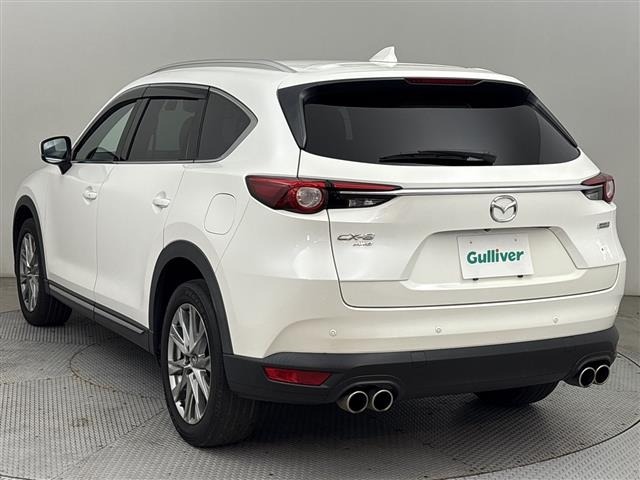 Mazda CX-8 2018 8072598-13